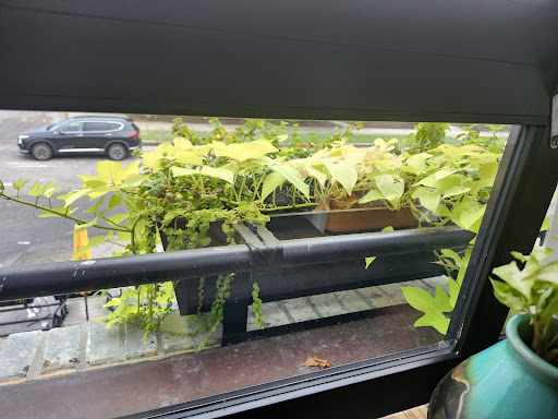 Photo of Yorgo's Bageldashery - 2123 Colonial Ave, Norfolk, VA 23517