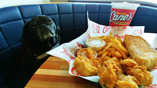 Photo of Raising Cane's Chicken Fingers - 1150 S 13th St, Norfolk, NE 68701