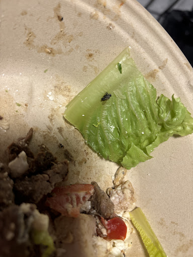 Photo of Rachel's Mediterranean Grill - 3611 Delaware Ave, Tonawanda, NY 14217