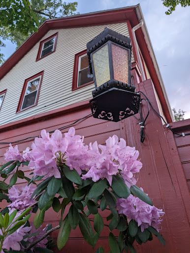 Photo of Mosaic Cafe - 78 Masonic St, Northampton, MA 01060