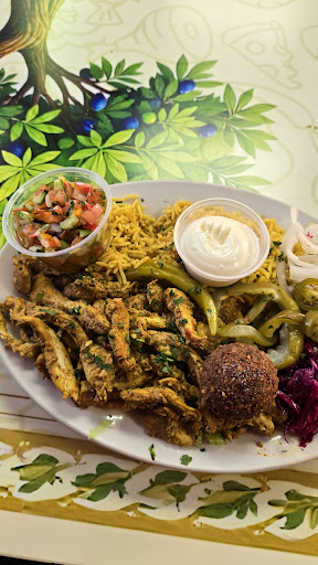 Photo of Mt. Olive Mediterranean Grill - 1135 Joliet St, Dyer, IN 46311