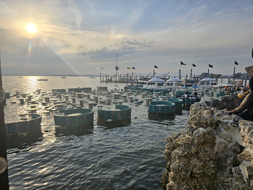 Photo of Seacrets - 117 49th St, Ocean City, MD 21842