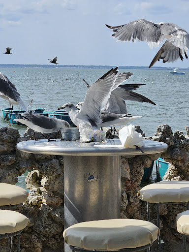 Photo of Seacrets - 117 49th St, Ocean City, MD 21842