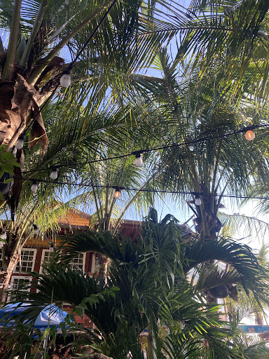 Photo of Seacrets - 117 49th St, Ocean City, MD 21842