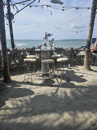 Photo of Seacrets - 117 49th St, Ocean City, MD 21842