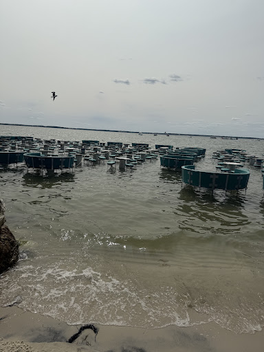 Photo of Seacrets - 117 49th St, Ocean City, MD 21842