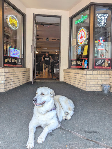 Photo of Wise Guys Sammy's - 261-267 Main St, Oneonta, NY 13820