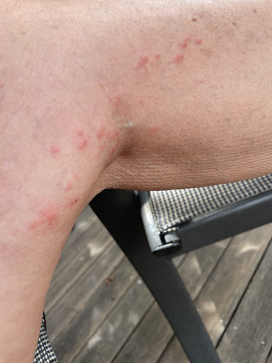 Photo of The Empire House - 136 Marion Ave, Gilbertsville, NY 13776