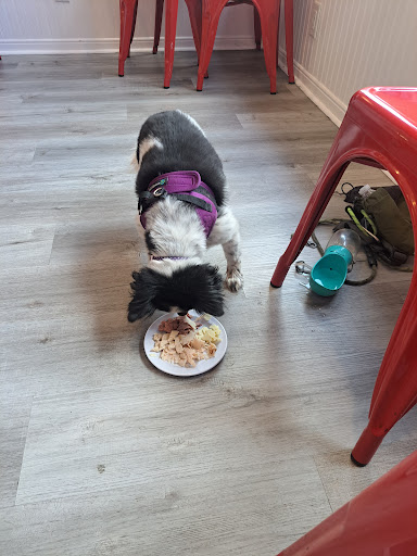 Photo of Nora's Oswego - 203 W 1st St, Oswego, NY 13126