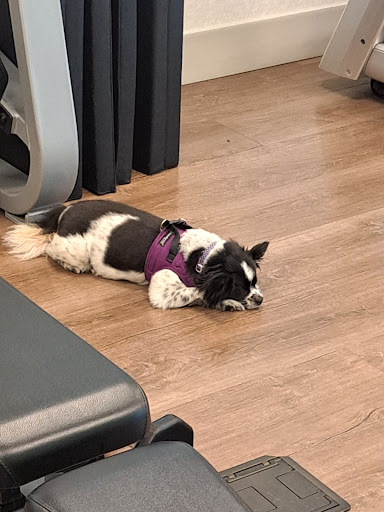 Photo of Nora's Oswego - 203 W 1st St, Oswego, NY 13126