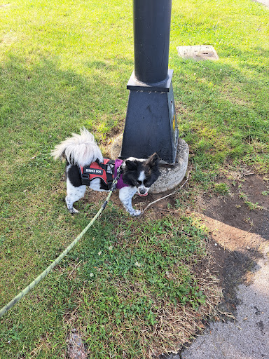 Photo of Nora's Oswego - 203 W 1st St, Oswego, NY 13126