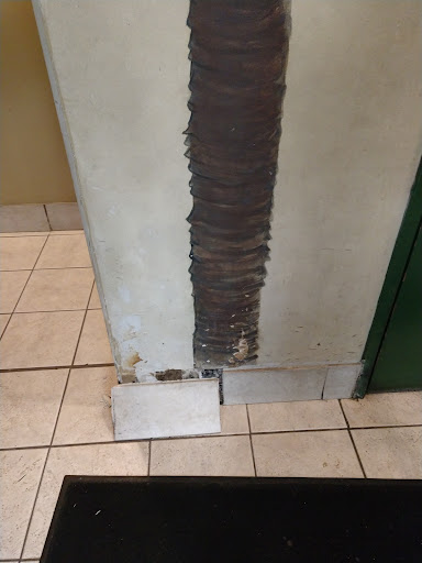 Photo of Aladdin's Restaurant - 300 N Clippert St, Lansing, MI 48912