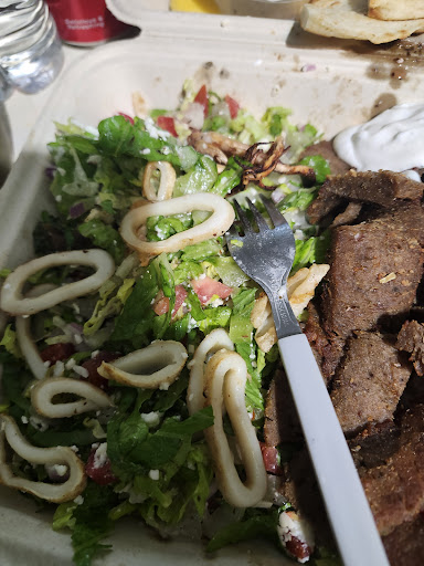 Photo of Souvlaki Grill - 795 Belvedere Rd, West Palm Beach, FL 33405