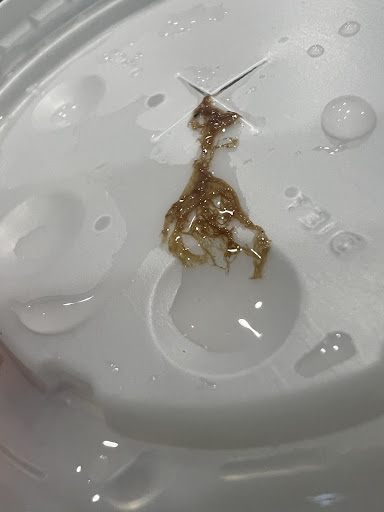 Photo of The Great Greek Mediterranean Grill - Palm Beach Gardens, FL - 11300 Legacy Ave #120, Palm Beach Gardens, FL 33410