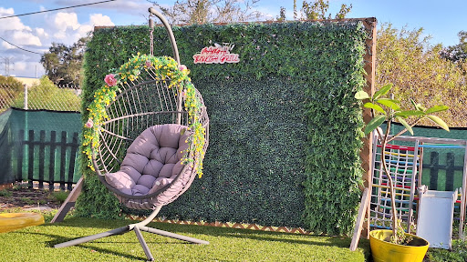 Photo of Mangal Turkish Grill - 11681 49th Street N, Clearwater, FL 33762