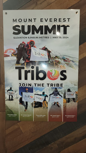 Photo of Tribos Peri Peri - Saddle Brook - 383 Market St #5, Saddle Brook, NJ 07663