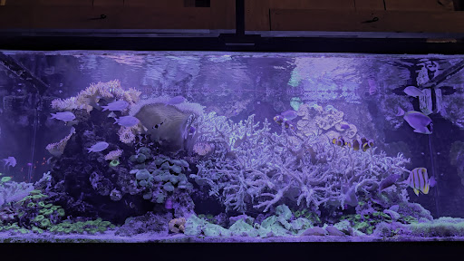 Photo of The Hot Club - 25 Bridge St, Providence, RI 02903