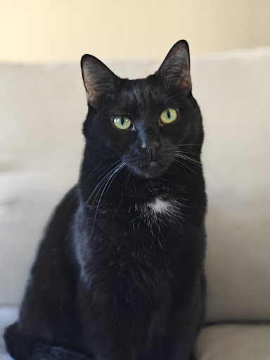 Photo of Ettooo's Halal Food Truck - 8 N 46th St, Philadelphia, PA 19139