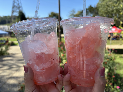 Photo of Bluzone cafe - 4251 Main St #53, Philadelphia, PA 19127