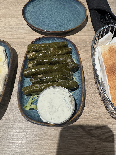 Photo of Mediterranean Grill - 22 W Broad St, Bethlehem, PA 18018