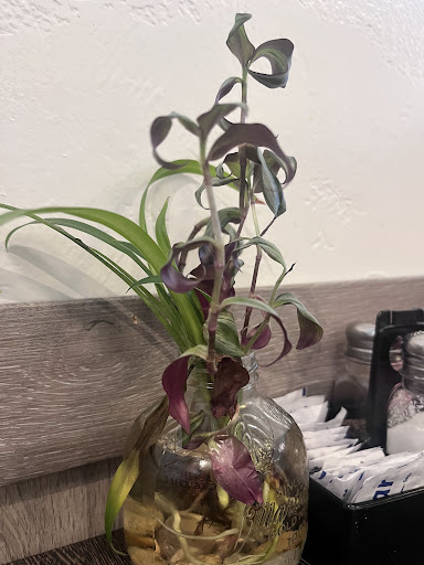 Photo of China Buffet - 602 W Sioux Ave, Pierre, SD 57501