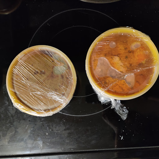 Photo of Missouri Dhaba - 1391 Lawrence 2140, Sarcoxie, MO 64862