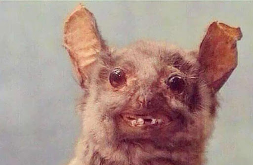 Photo of Azzurro Pizza & Italian Grill - 55 Brick Blvd, Brick Township, NJ 08723