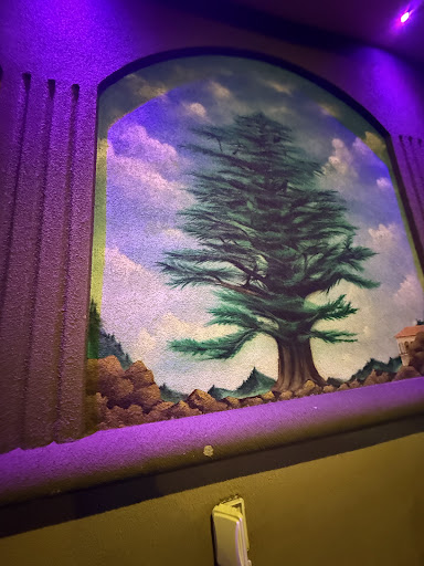 Photo of Cedars Lebanese Cuisine - 5 Main Ave, Wallington, NJ 07057