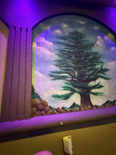 Photo of Cedars Lebanese Cuisine - 5 Main Ave, Wallington, NJ 07057