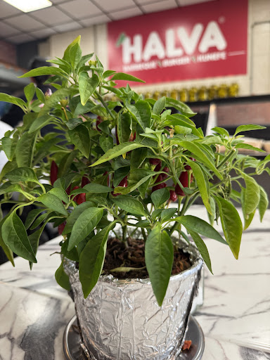 Photo of Halva Mediterranean Grill - 960 Main St, Paterson, NJ 07503