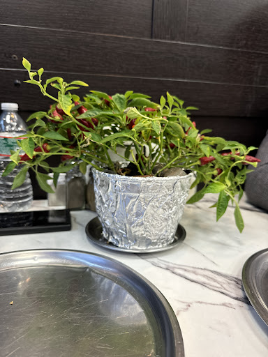 Photo of Halva Mediterranean Grill - 960 Main St, Paterson, NJ 07503