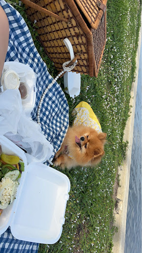 Photo of Toula's - 119 W Marion Ave, Punta Gorda, FL 33950