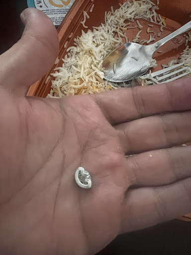 Photo of Moby Dick House of Kabob - 1500 Cornerside Blvd, Vienna, VA 22182