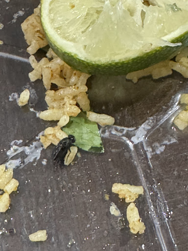 Photo of Deshi Food (Halal Indian Restaurant) - 34 Raymond Ave, Arlington, NY 12603