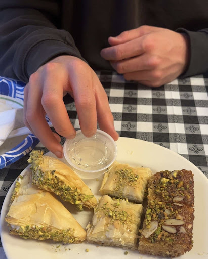 Photo of Shamee in Maine - 1492 State St, Veazie, ME 04401