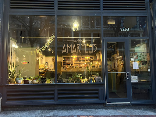 Photo of Amaryllis - 225a Westminster St, Providence, RI 02903