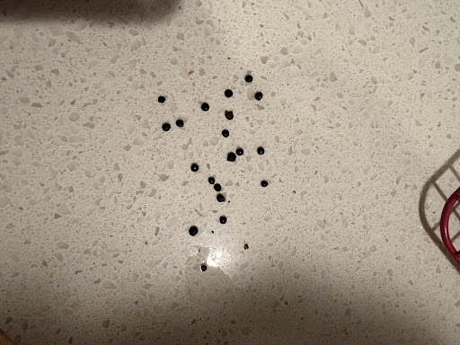 Photo of CAVA - 1100 Mercantile Dr Ste 100, Raleigh, NC 27609