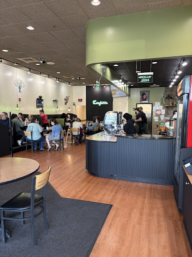 Photo of Zaytoon Kabob Grill - 760 Woodland Rd, Wyomissing, PA 19610