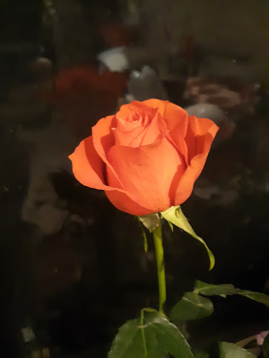 Photo of Garlic Lovers Corner - 235 N Greenbush Rd Suite 1, Troy, NY 12180