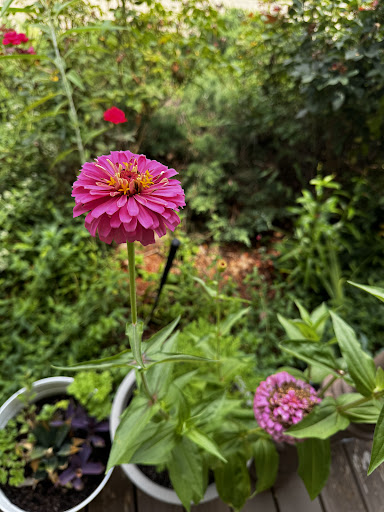 Photo of Yiayia's Greek Kitchen - 1139 Old Fannin Rd M, Brandon, MS 39047