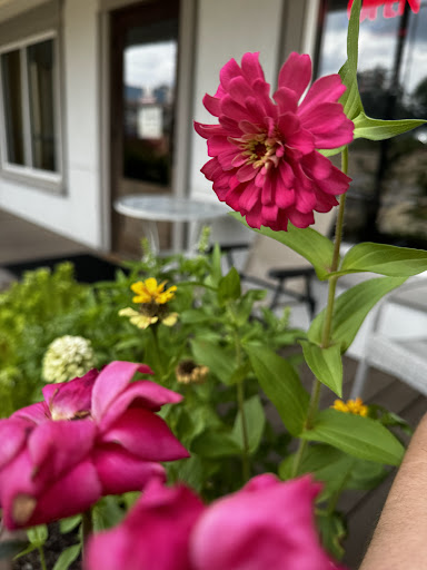 Photo of Yiayia's Greek Kitchen - 1139 Old Fannin Rd M, Brandon, MS 39047