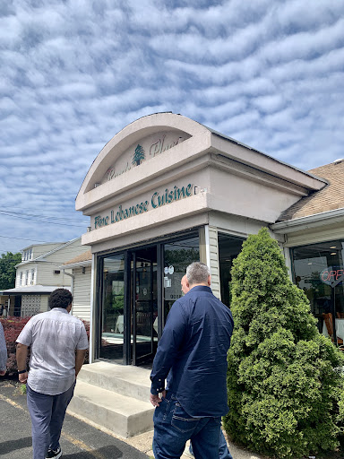 Photo of Rose's Place: Lebanese Cuisine - 32-01 Broadway, Fair Lawn, NJ 07410