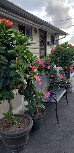 Photo of Rose's Place: Lebanese Cuisine - 32-01 Broadway, Fair Lawn, NJ 07410