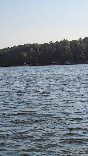 Photo of Food Lion - 1201 Julian R Allsbrook Hwy # T, Roanoke Rapids, NC 27870