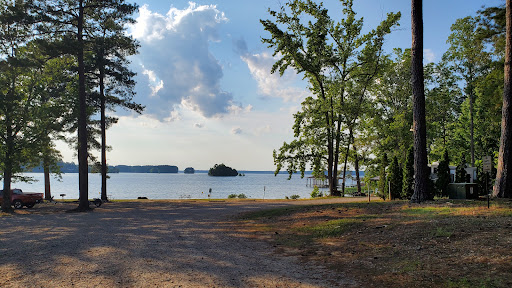 Photo of Food Lion - 1201 Julian R Allsbrook Hwy # T, Roanoke Rapids, NC 27870