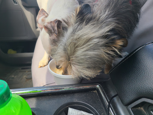 Photo of Sunshine Grill - 200 Washington Ave, Weldon, NC 27890