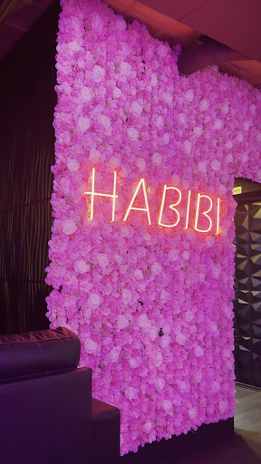 Photo of Habibi Cafe & Restaurant - 330 East Ave, Rochester, NY 14604