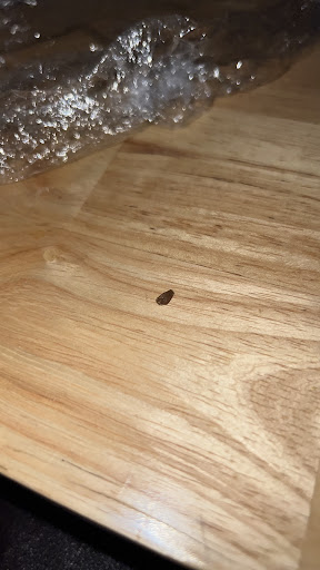 Photo of Pita Cafe - 25282 Greenfield Rd, Oak Park, MI 48237