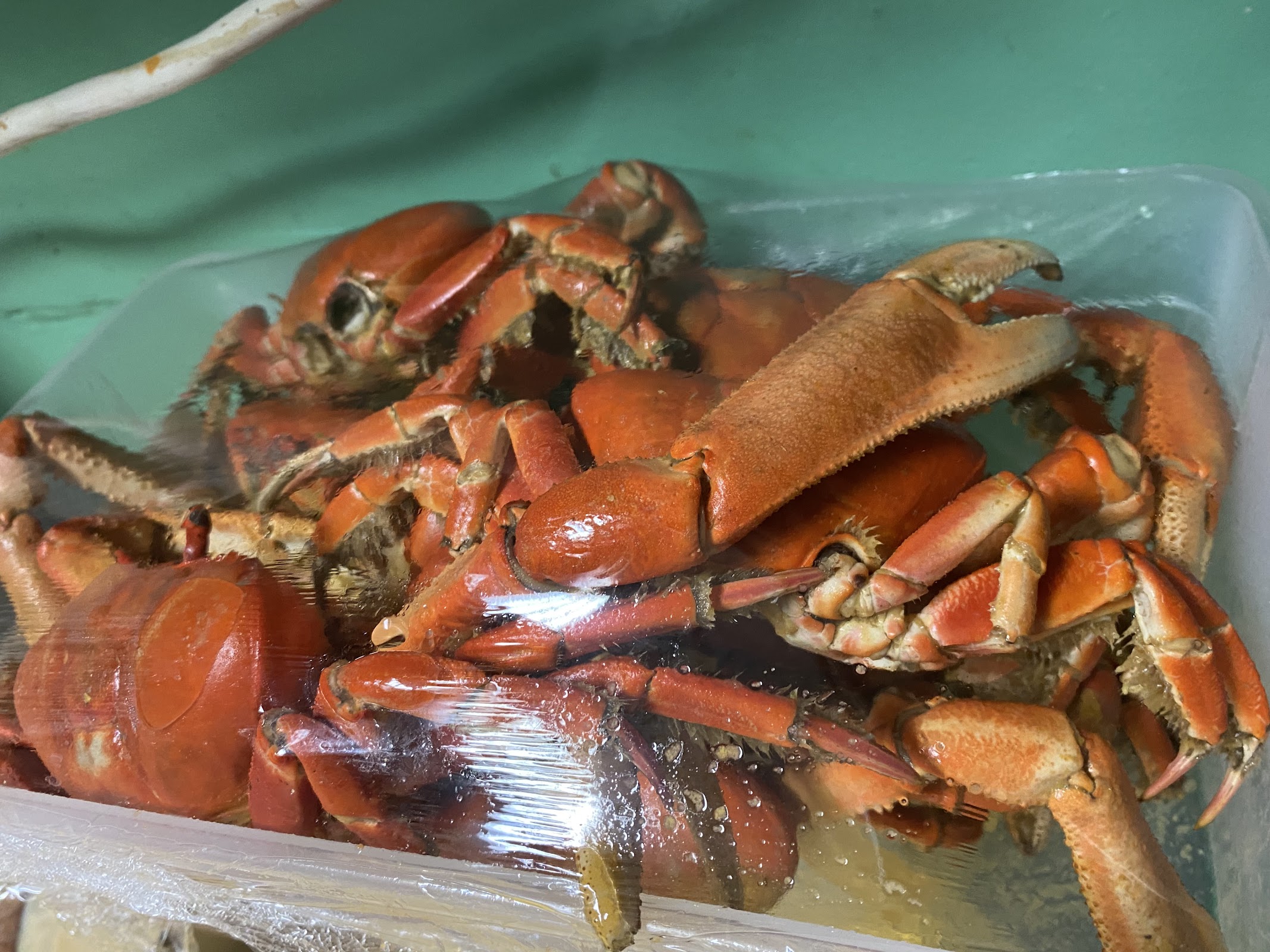 Photo of Mirka Grill & Coffee - 511 Summer Ave, Newark, NJ 07104