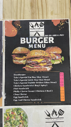 Photo of Trio’s Halal Food - 293 Ontario St, Albany, NY 12203